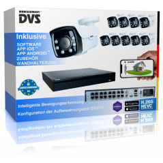 Professional video surveillance system for people detection
